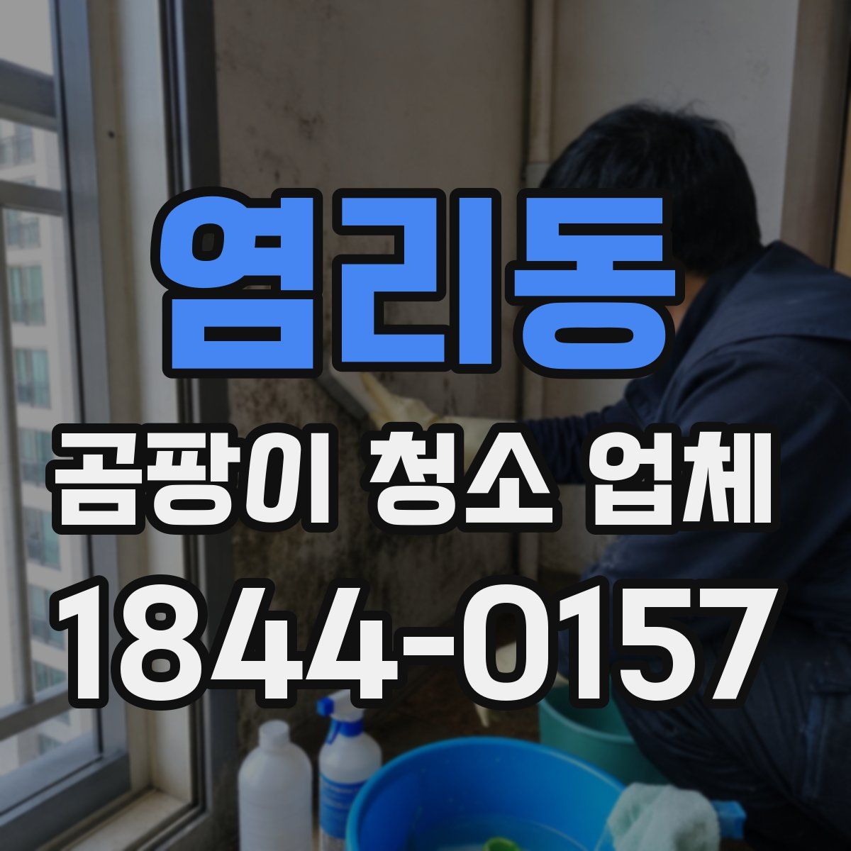 염리동 곰팡이 청소 업체