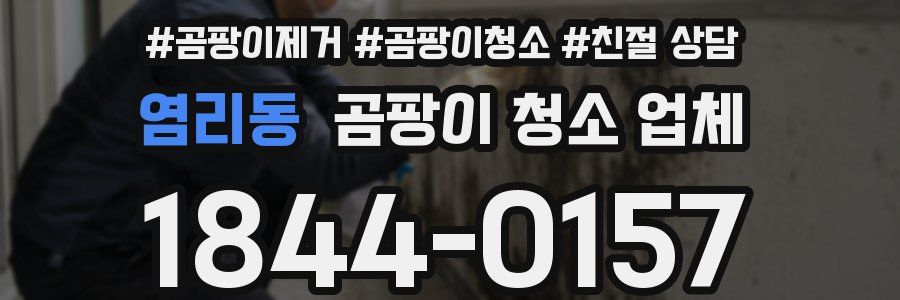 염리동 곰팡이 청소 업체