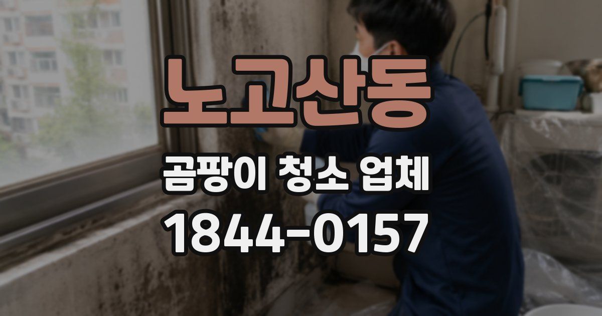 노고산동 곰팡이 청소 업체