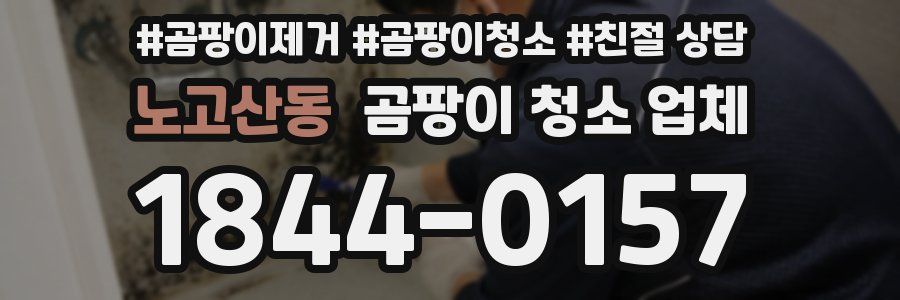 노고산동 곰팡이 청소 업체