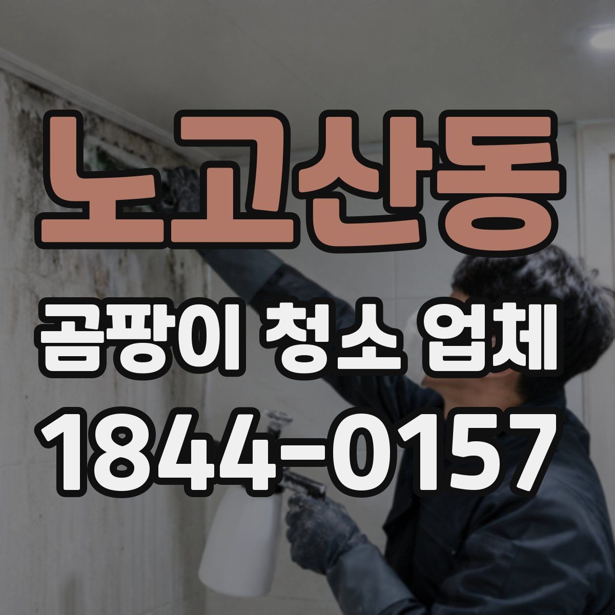 노고산동 곰팡이 청소 업체