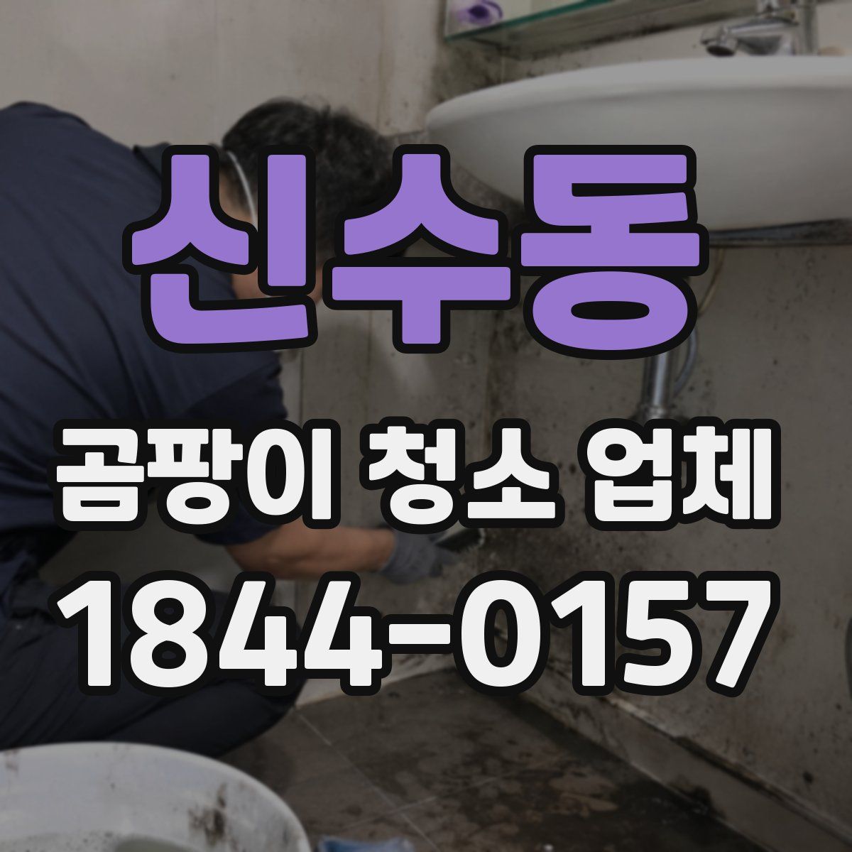 신수동 곰팡이 청소 업체