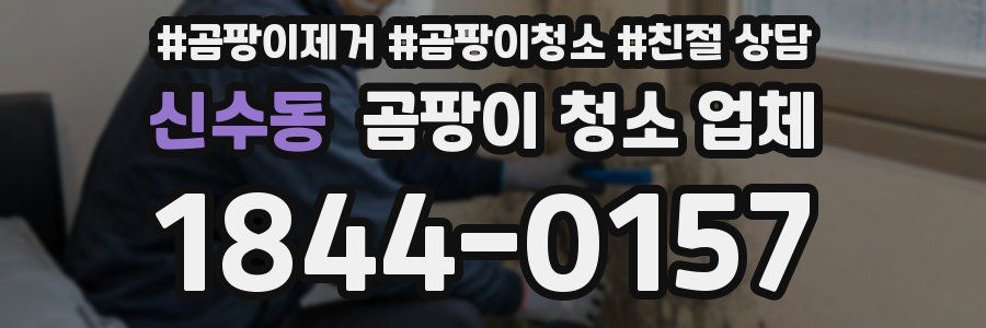 신수동 곰팡이 청소 업체