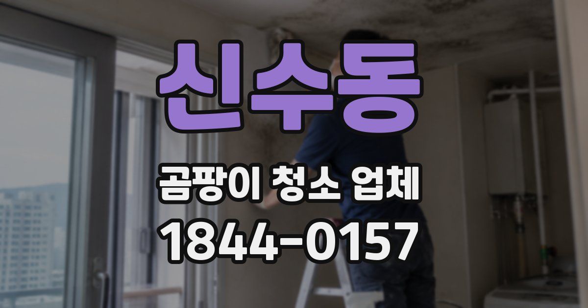 신수동 곰팡이 청소 업체