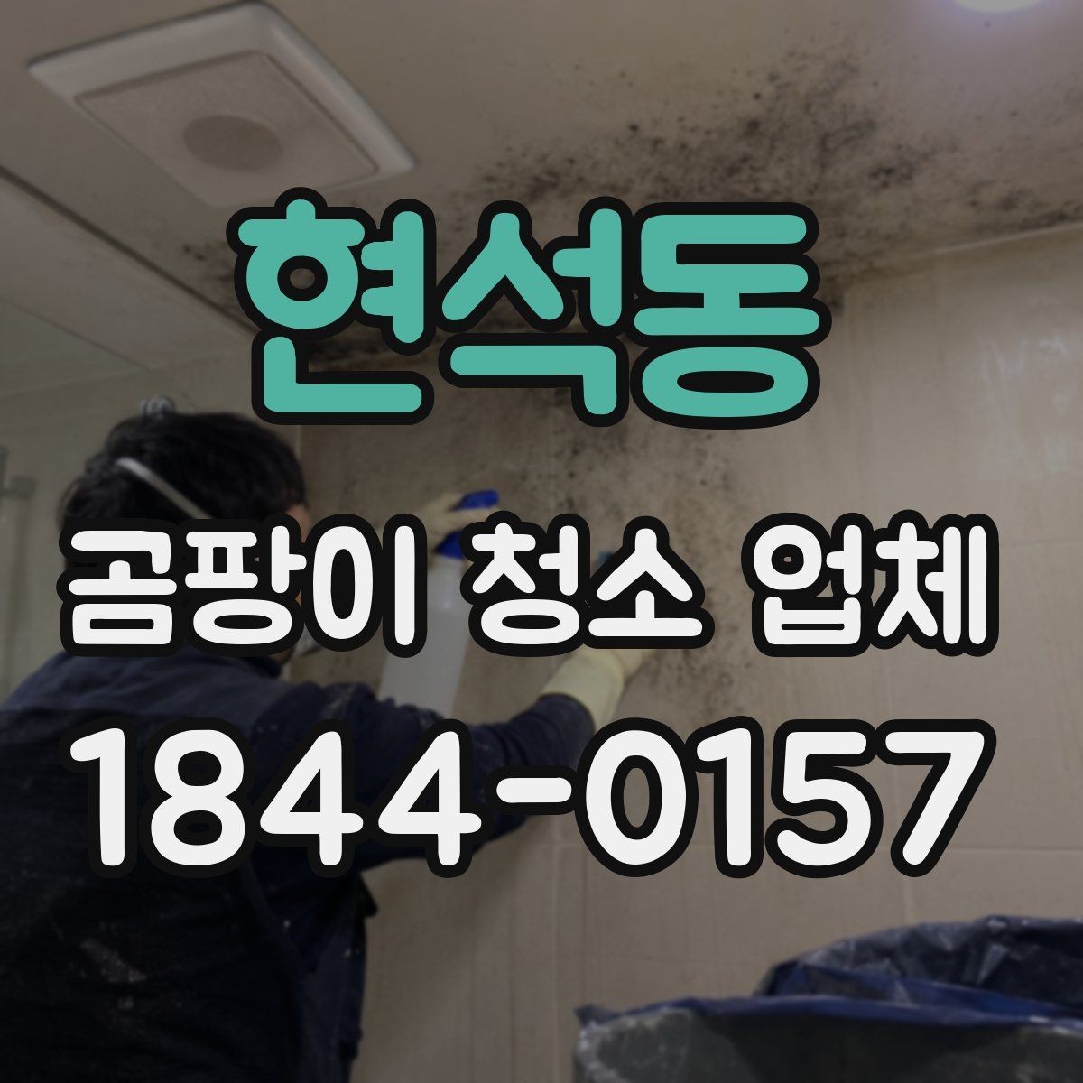 현석동 곰팡이 청소 업체 이용 전 자주 묻는 질문 정리