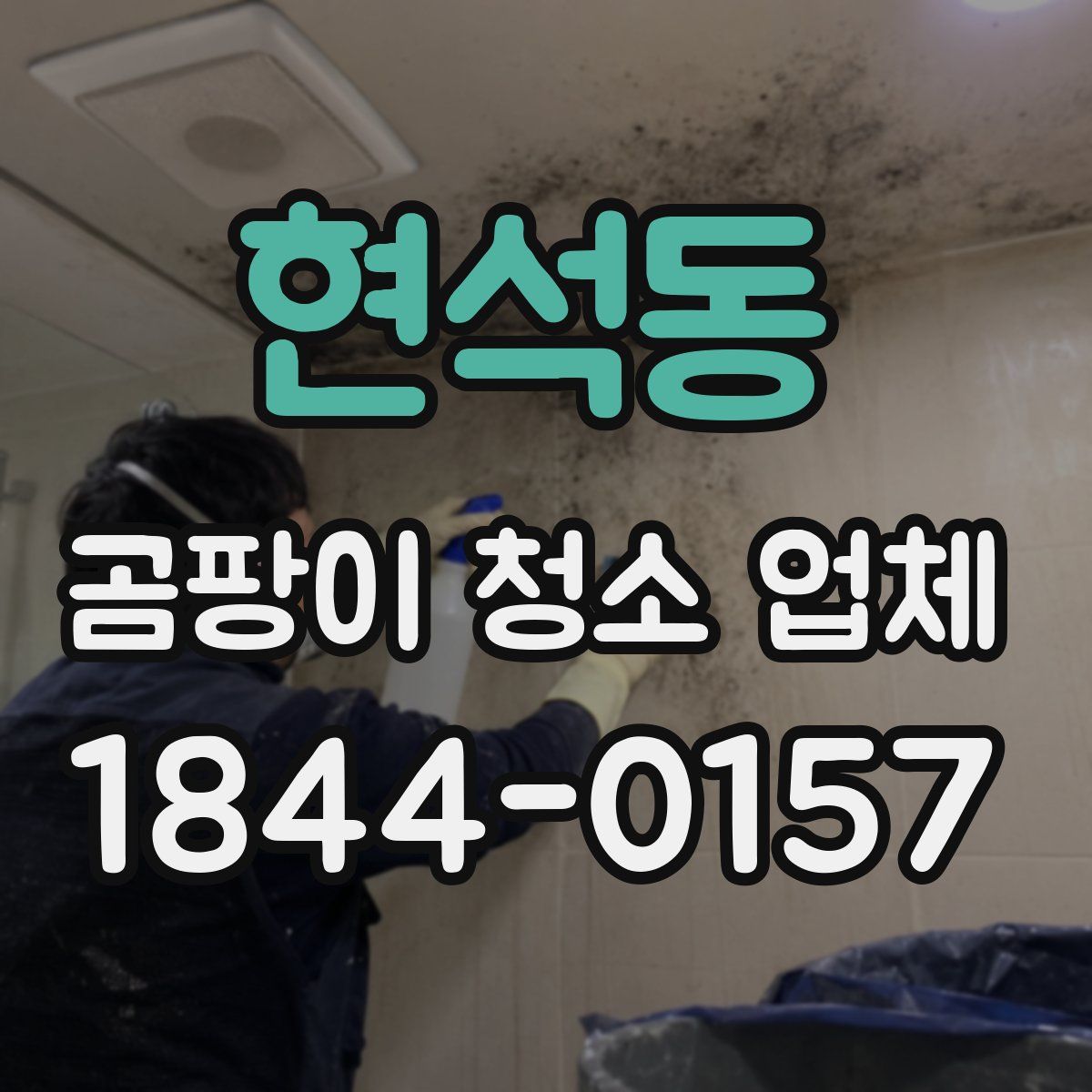현석동 곰팡이 청소 업체