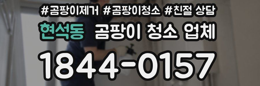 현석동 곰팡이 청소 업체