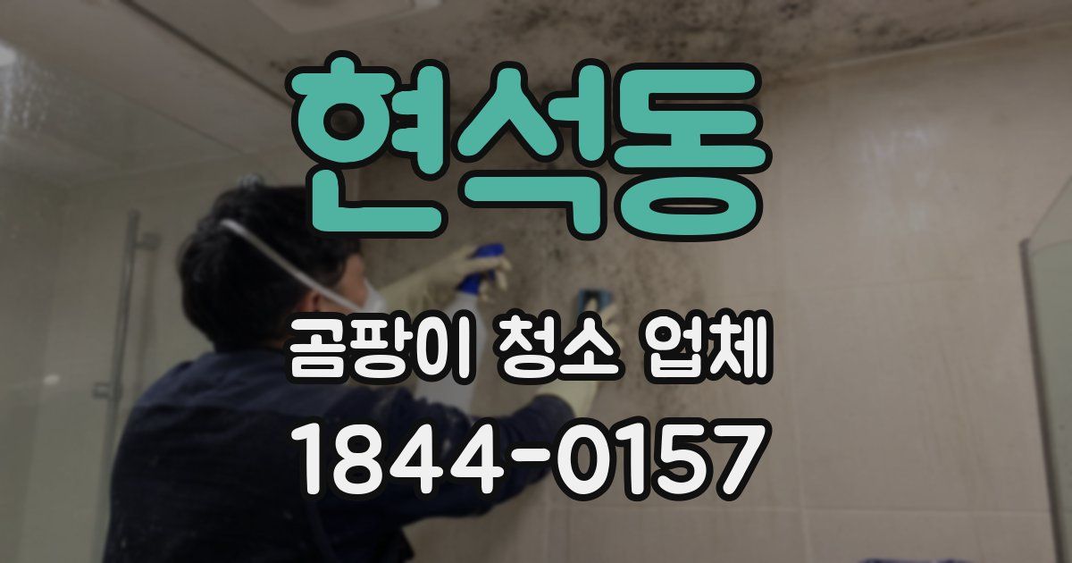 현석동 곰팡이 청소 업체