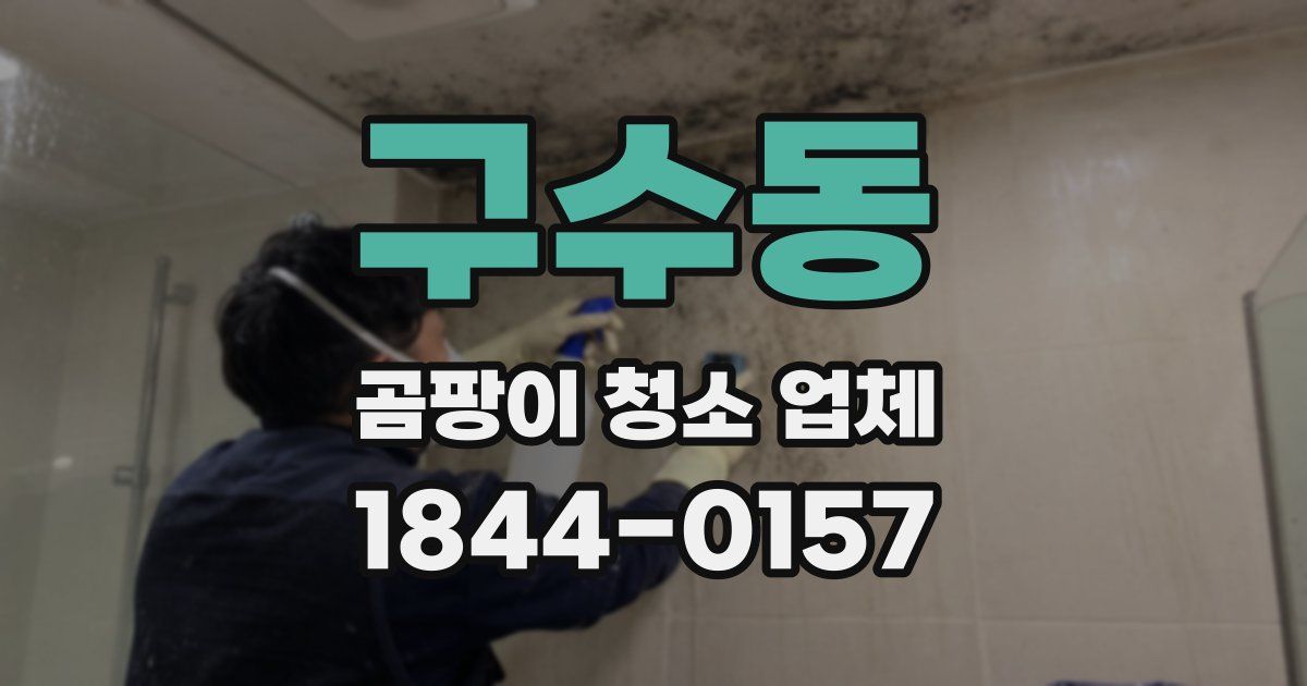구수동 곰팡이 청소 업체