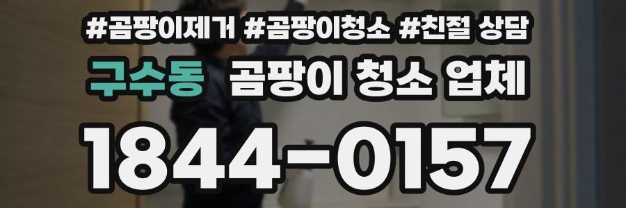 구수동 곰팡이 청소 업체
