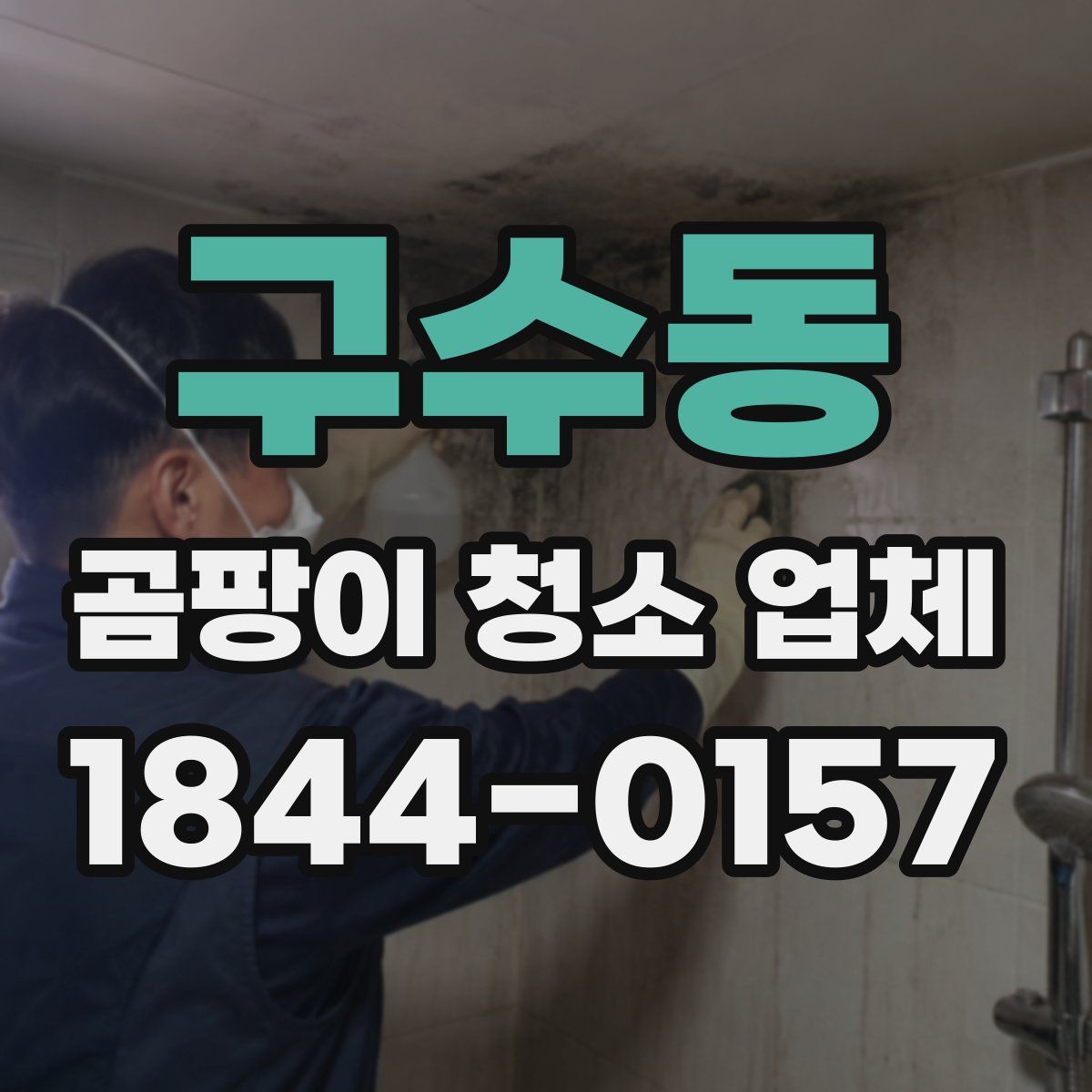 구수동 곰팡이 청소 업체