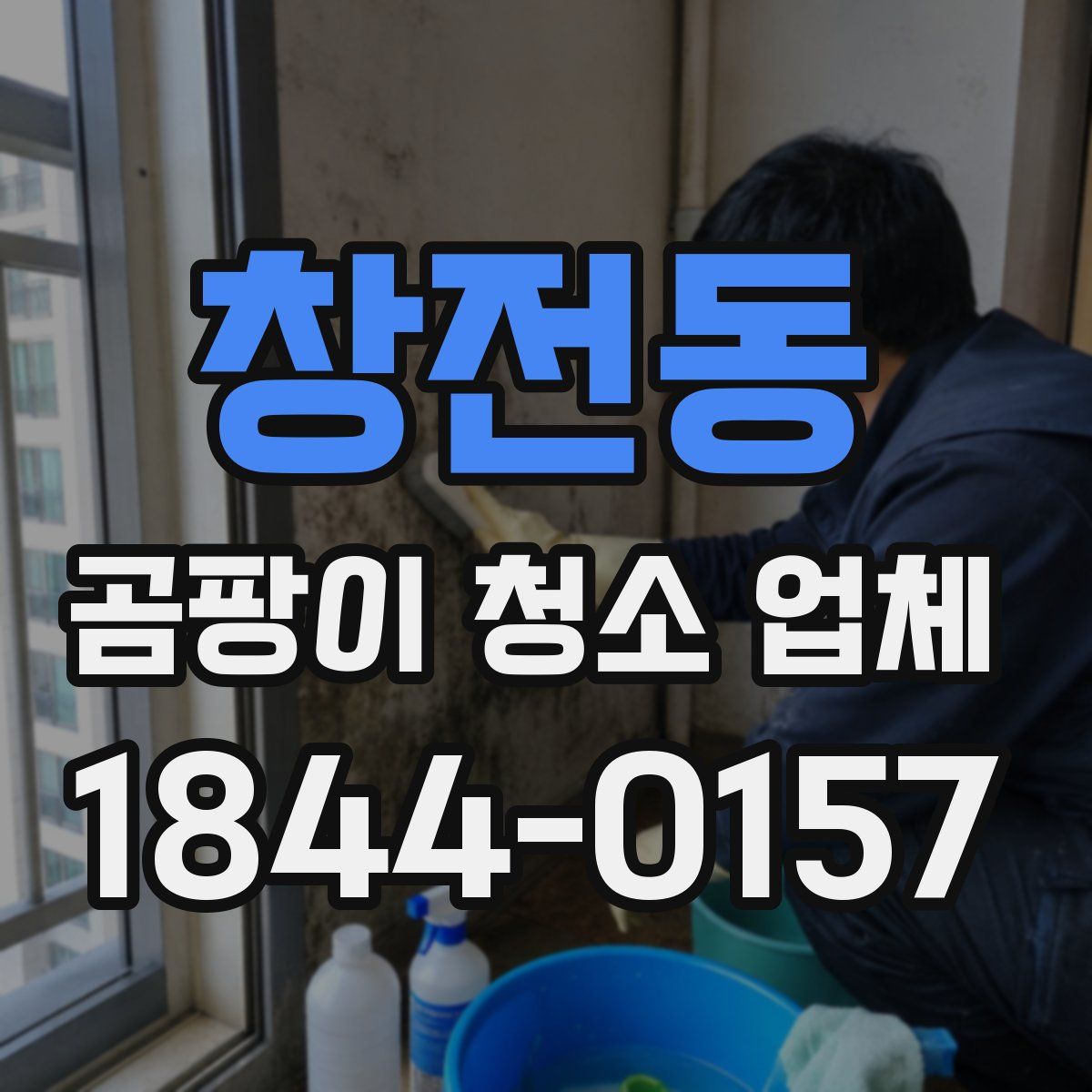 창전동 곰팡이 청소 업체