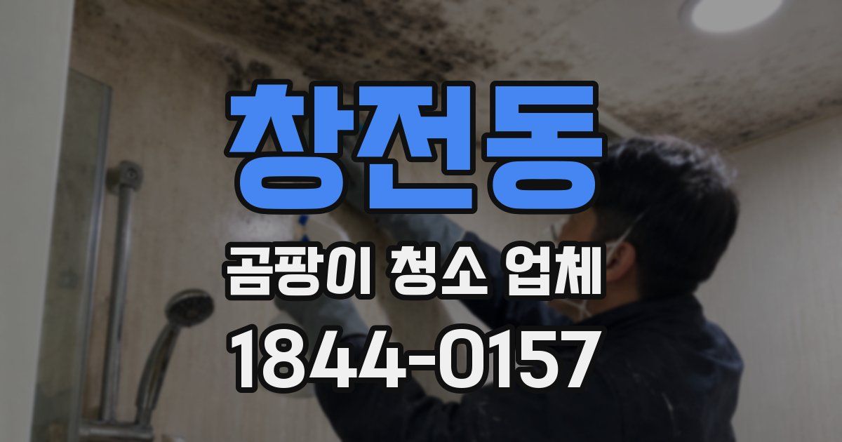 창전동 곰팡이 청소 업체