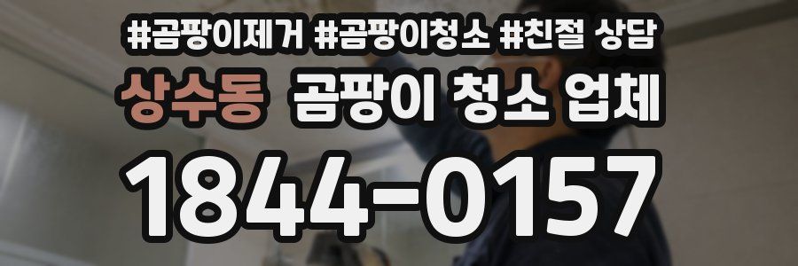 상수동 곰팡이 청소 업체