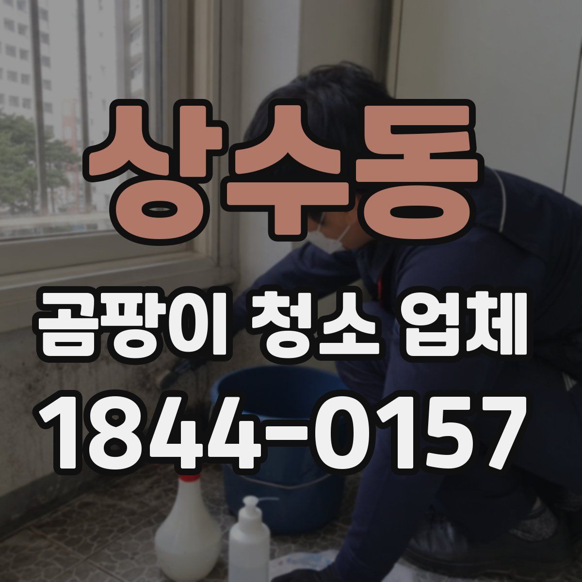 상수동 곰팡이 청소 업체