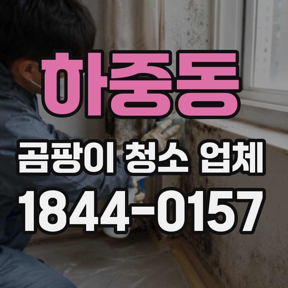 하중동 곰팡이 청소 업체 작업 범위와 진행 절차