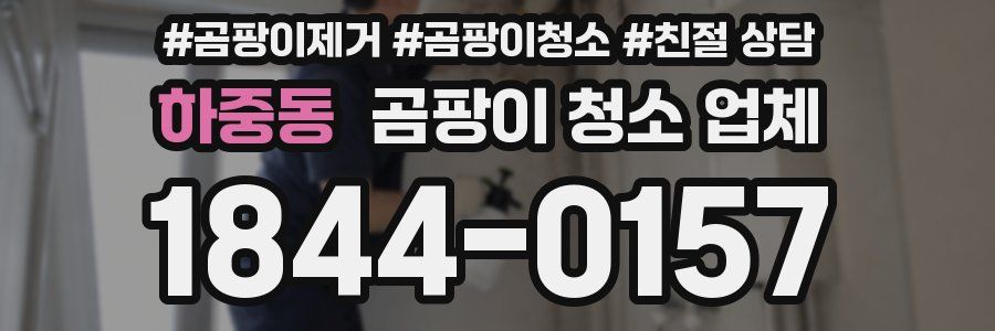하중동 곰팡이 청소 업체