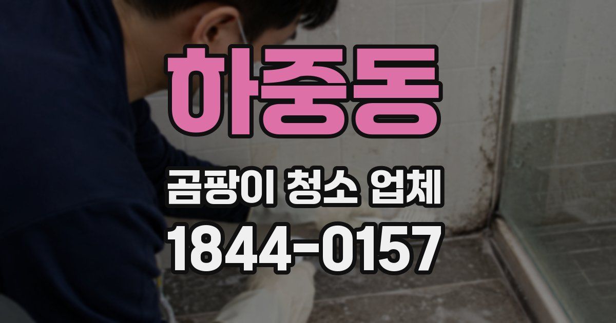 하중동 곰팡이 청소 업체