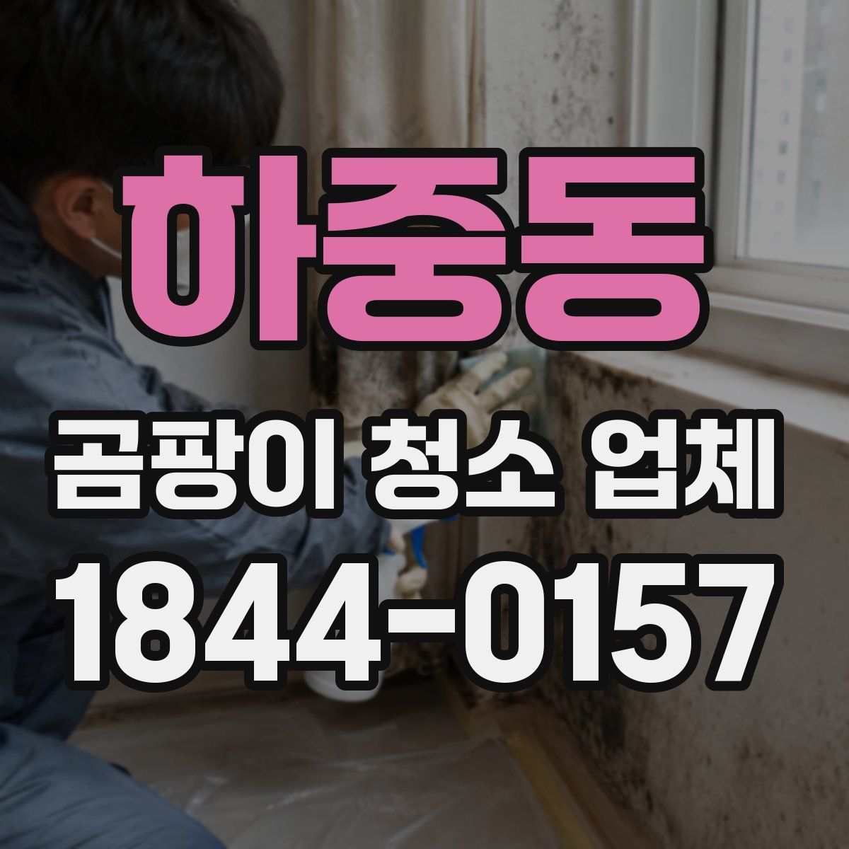 하중동 곰팡이 청소 업체