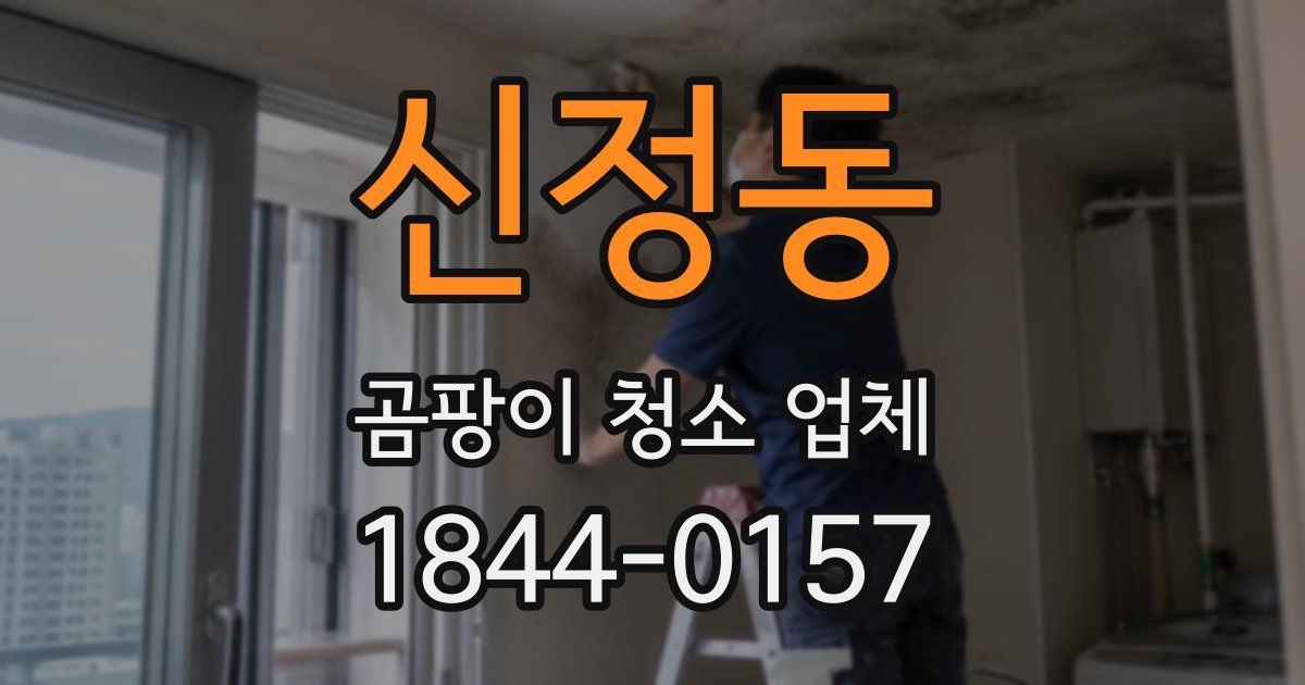 신정동 곰팡이 청소 업체