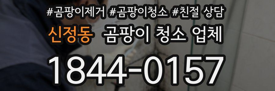 신정동 곰팡이 청소 업체