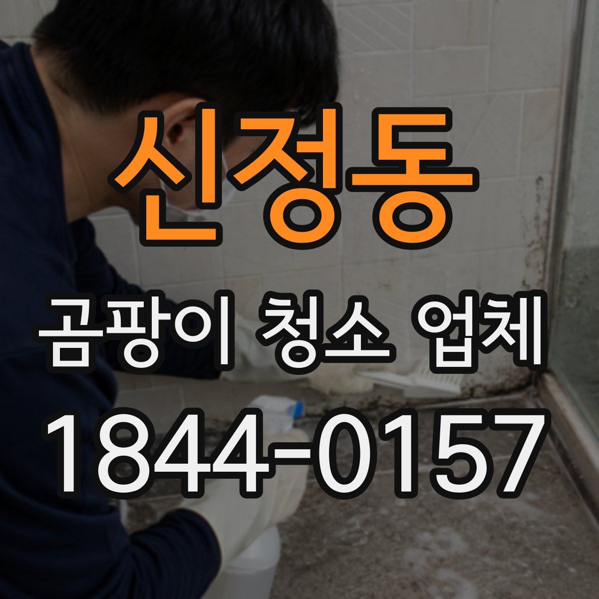신정동 곰팡이 청소 업체