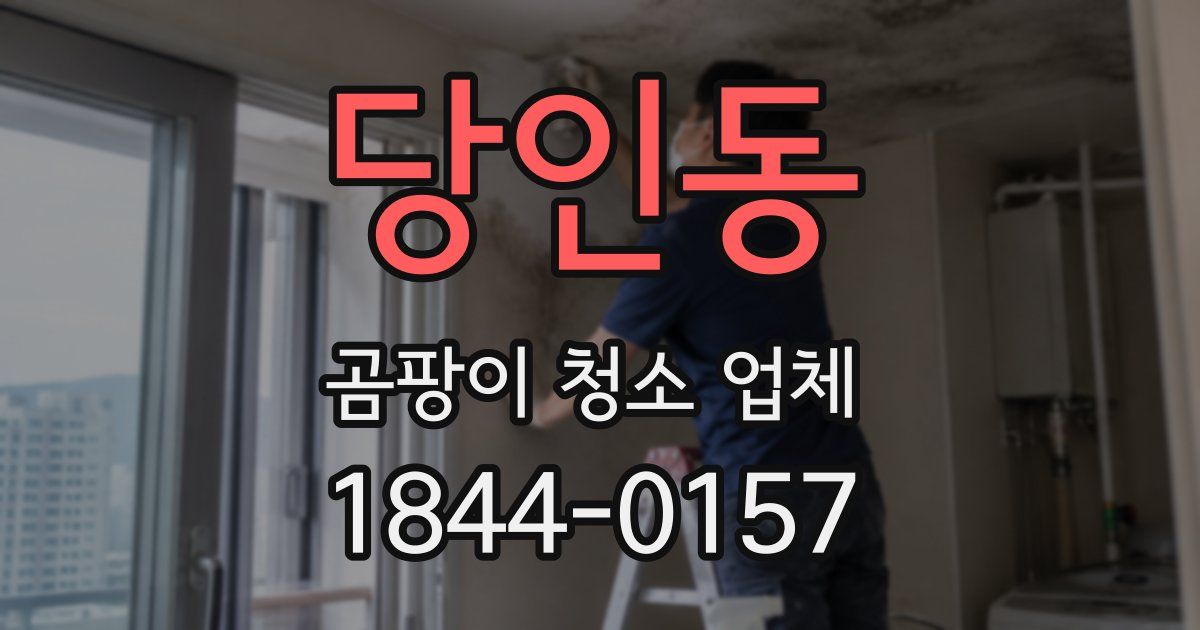 당인동 곰팡이 청소 업체
