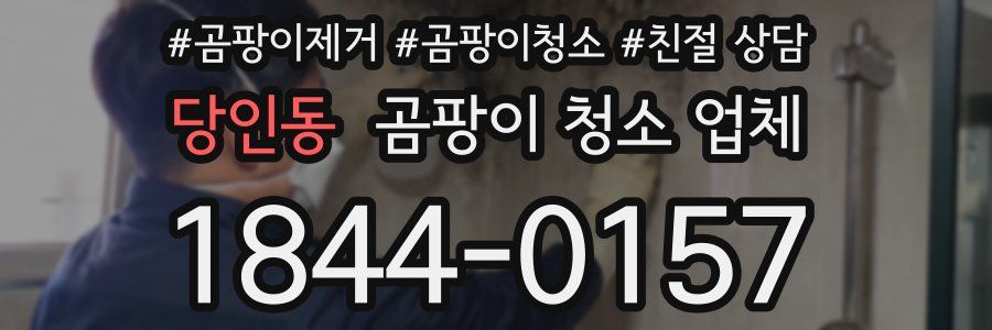당인동 곰팡이 청소 업체