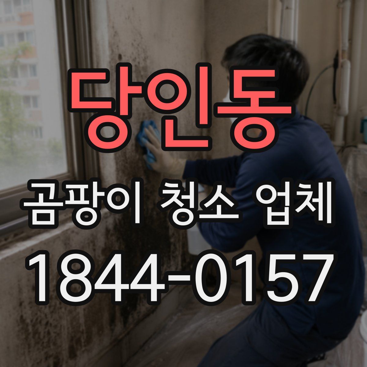 당인동 곰팡이 청소 업체