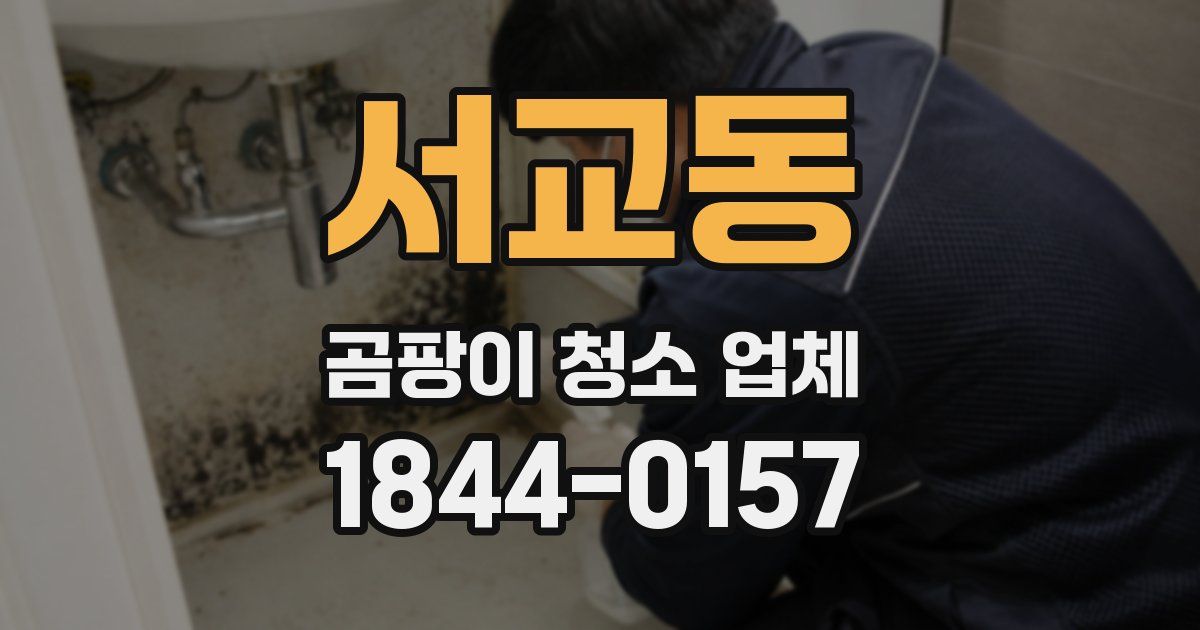 서교동 곰팡이 청소 업체