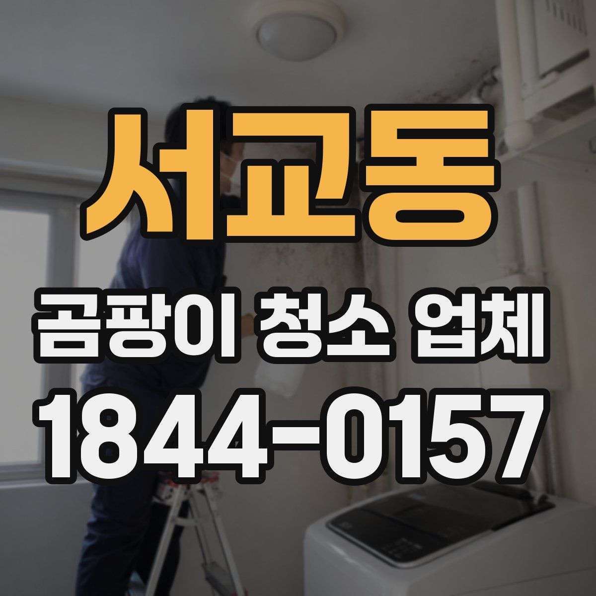 서교동 곰팡이 청소 업체