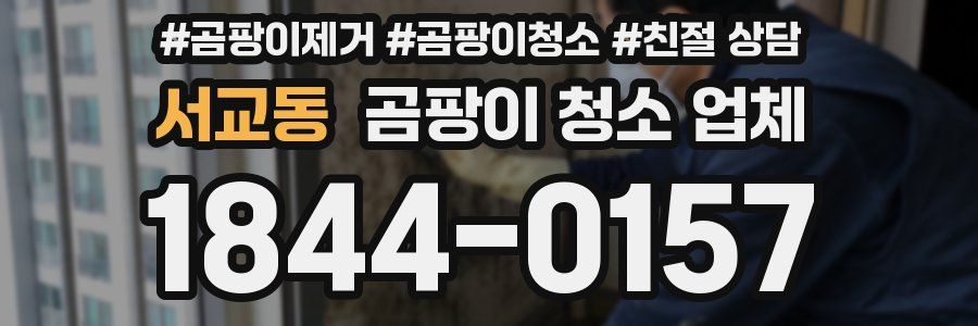 서교동 곰팡이 청소 업체