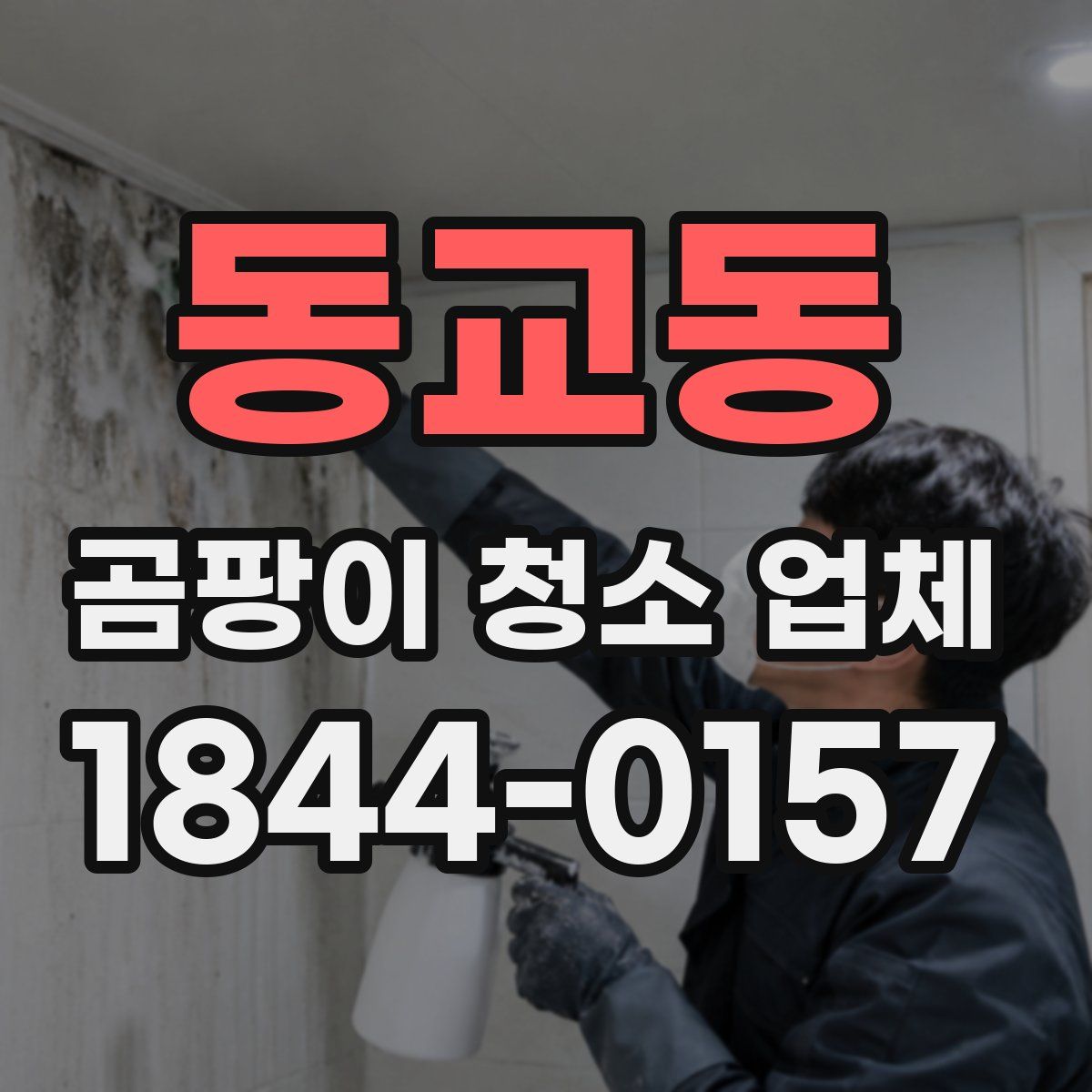 동교동 곰팡이 청소 업체