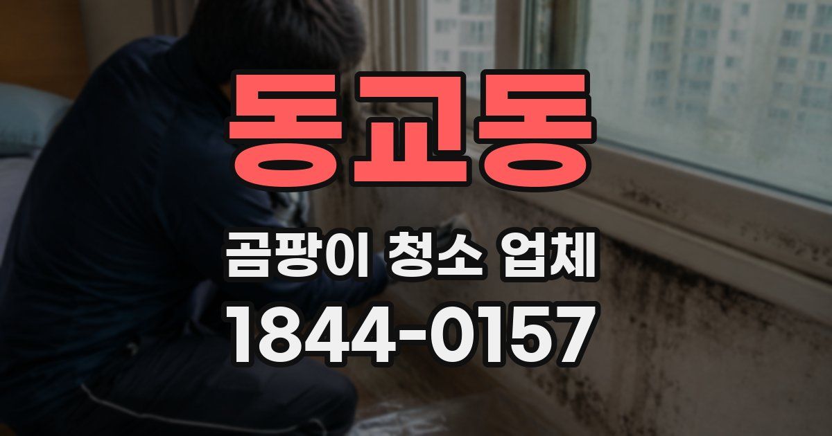동교동 곰팡이 청소 업체