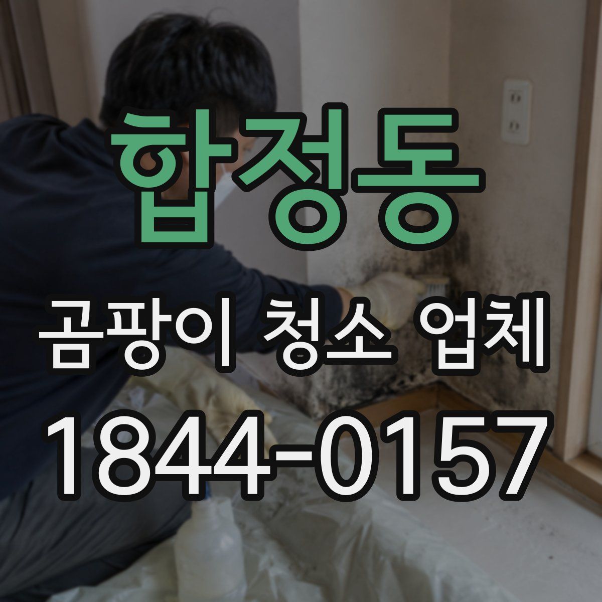 합정동 곰팡이 청소 업체