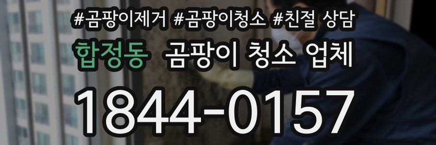 합정동 곰팡이 청소 업체