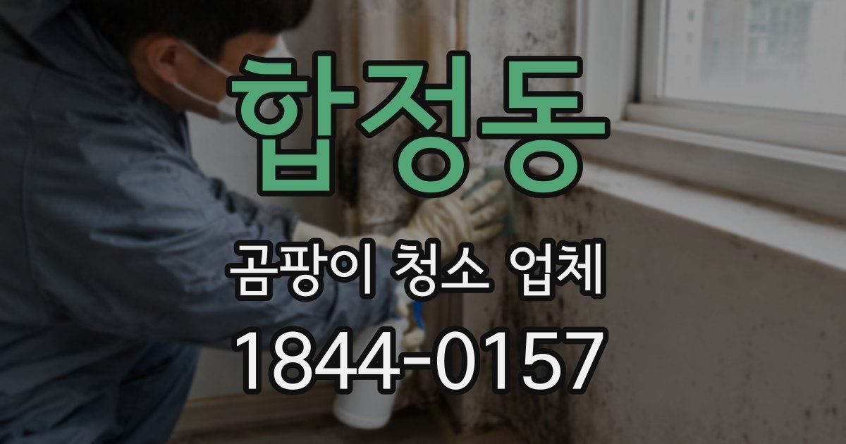 합정동 곰팡이 청소 업체