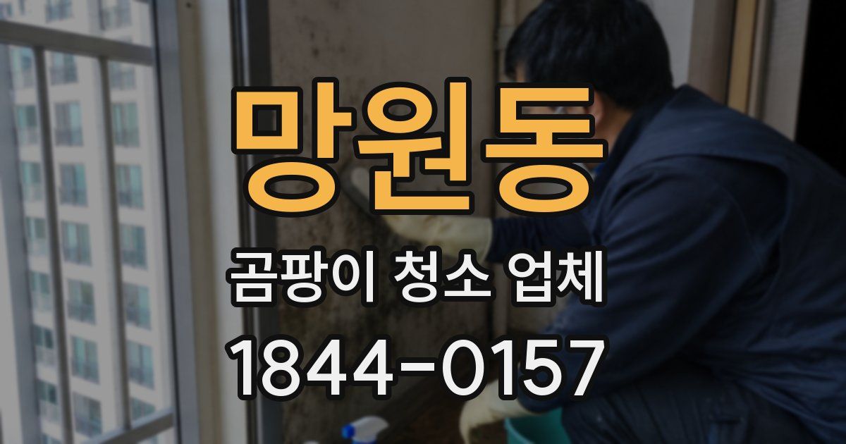 망원동 곰팡이 청소 업체