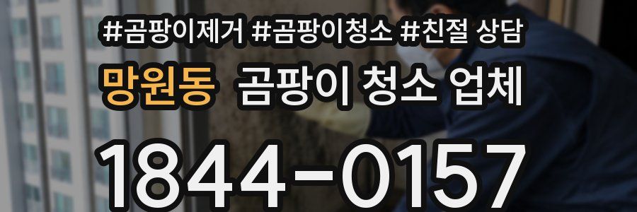 망원동 곰팡이 청소 업체