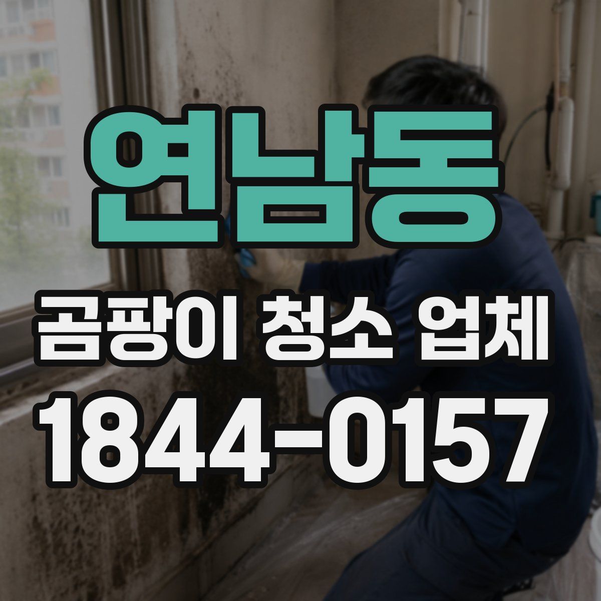 연남동 곰팡이 청소 업체