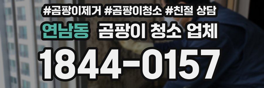 연남동 곰팡이 청소 업체
