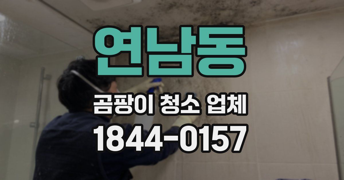 연남동 곰팡이 청소 업체