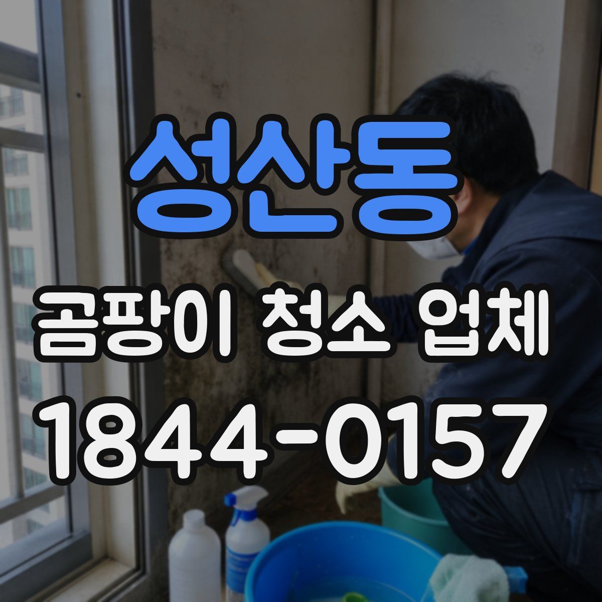 성산동 곰팡이 청소 업체