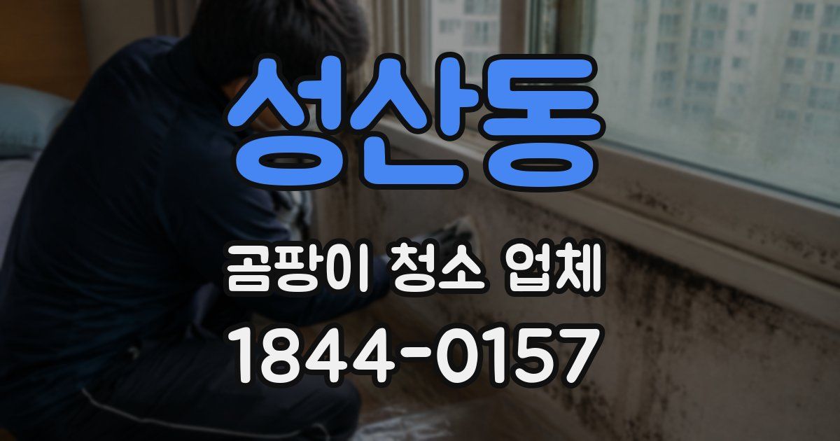 성산동 곰팡이 청소 업체