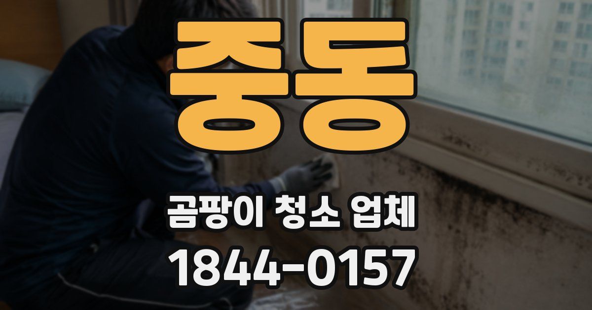 중동 곰팡이 청소 업체