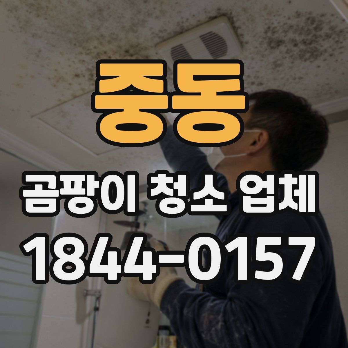 중동 곰팡이 청소 업체