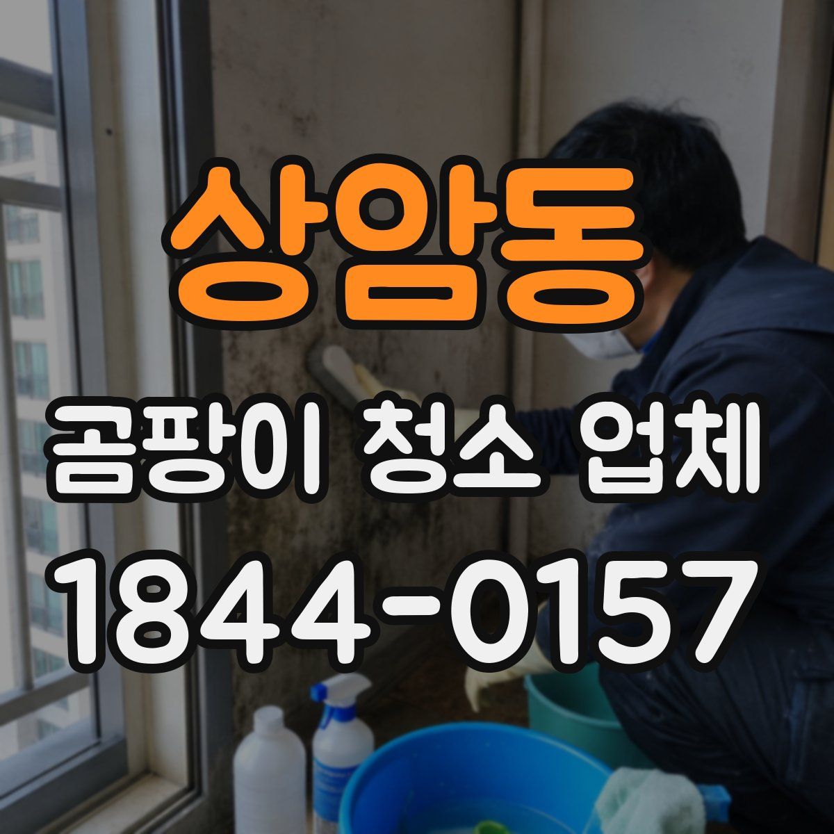 상암동 곰팡이 청소 업체