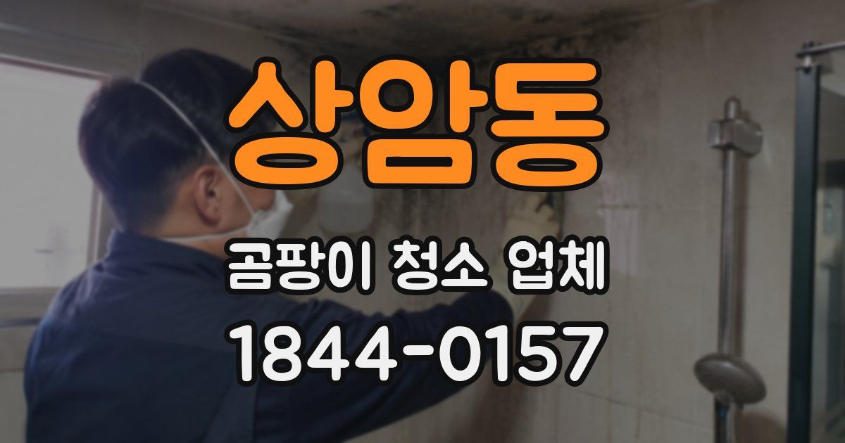 상암동 곰팡이 청소 업체