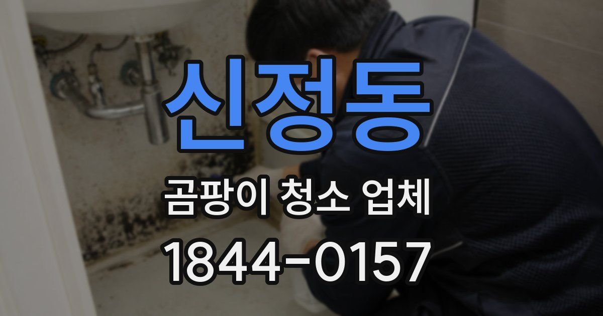 신정동 곰팡이 청소 업체