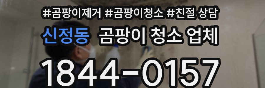 신정동 곰팡이 청소 업체